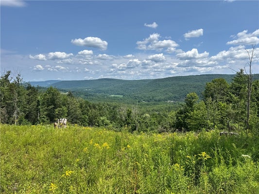 ADDRESS PRIVATE, NORTH BLENHEIM, NY 12131 - Image 4ff6c4d5e7bbae93ced31d358e97644c/4023374899