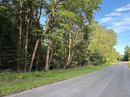 HARVEY BRIDGE RD, COLD BROOK, NY 13324 - Image 5aeeaa1ac8b266d71830741190eec0d7/930908095