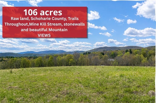 ADDRESS PRIVATE, JEFFERSON, NY 12093 - Image 5da920cf97e4adf6a9cf1512304b4fa3/3533488281