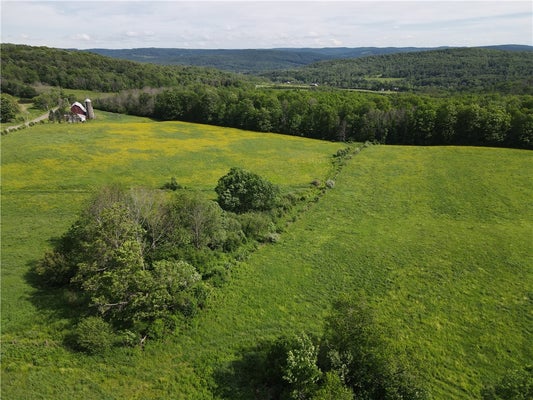 5243 REED RD, FRIENDSHIP, NY 14739 - Image 653a5d2bd9e11e6539bc66d9bc29c8ad/2489598066