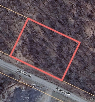 LOOMIS ST, LITTLE FALLS, NY 13365 - Image 6a6b00a5e8b08216dcfee4afaf5ae4ff/3220477974