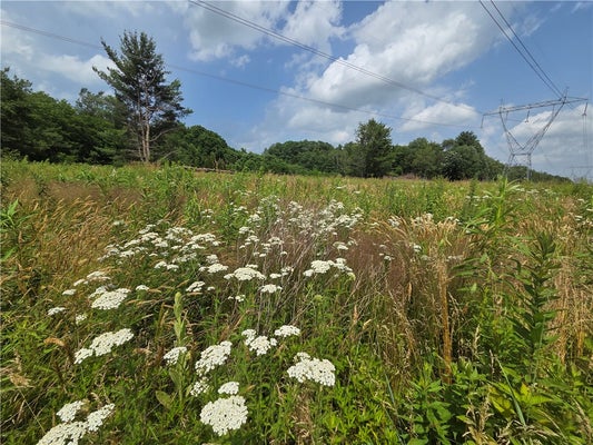 10720 DUCK LAKE RD, PORT BYRON, NY 13140 - Image 6b4100c2b7c3f60fbf7a2bbf28c1e99f/4002841633