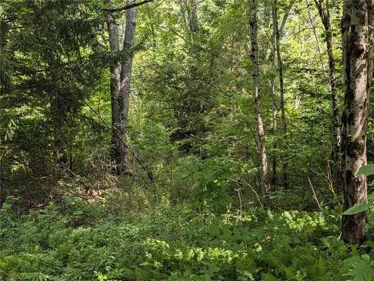 E AFTON RD, BAINBRIDGE, NY 13733 - Image 751e8e44865738428ef37a7a2bbde085/332529205