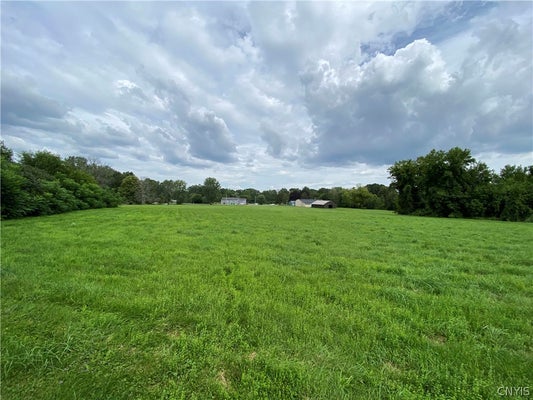 9 ACRES BUCKLEY ROAD, SYRACUSE, NY 13212 - Image 764432eb2d5fa458d606422c2bb2c0ed/331374242