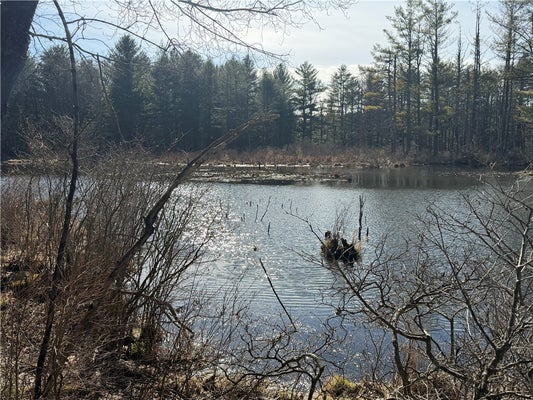 HATTIE CLARK RD, GREENE, NY 13778 - Image 7ada49ea754cf49d8c3a2b4c09c2ed6d/1139737777