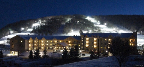 6447 HOLIDAY VALLEY RD # 439, ELLICOTTVILLE, NY 14731 - Image 7f91633c851c00a873304fffbc6658a2/1677650972