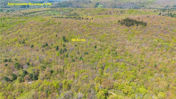 SANLY ROAD, FRANKLIN, NY 13839 - Image 835d406b7d0546d85136dbafdb86a2cd/2452208980