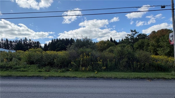 S HILL RD, DE RUYTER, NY 13052 - Image 83d5d63acf736fb4fbf522c5b75a4f34/1336523253