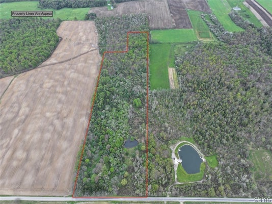 YOUNGS RD, CONEWANGO VALLEY, NY 14726 - Image 8effec92089dc4e35b5d6579f43191e6/4283609642