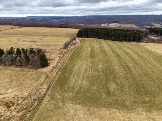 ENGDAHL RD, SINCLAIRVILLE, NY 14782 - Image 936a5bd2437239d1175e13cb73859cd9/3218270320