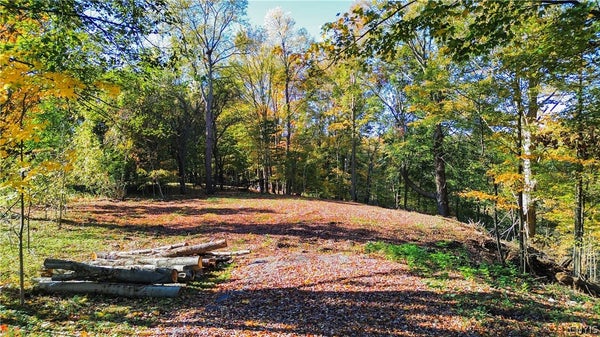 HARRISON AVE, ILION, NY 13357 - Image 9a21df2ee71fa908e8b2dfadc9b5aff6/1763277689