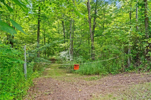 402 BROOKTONDALE RD, BROOKTONDALE, NY 14817 - Image 9a641901e2c19f67268ee6df27f1edd3/2583826239