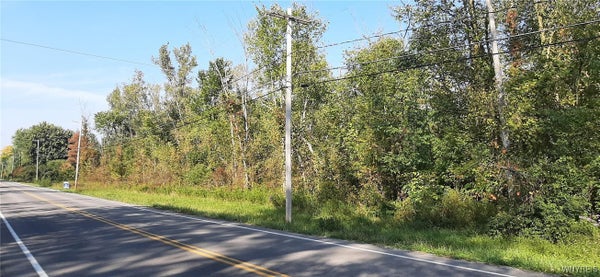 V/L BURCH ROAD, RANSOMVILLE, NY 14131 - Image 9e5ff8a57b6cb2f2081ebbaba78d4c08/1258747204
