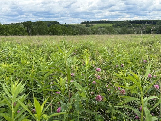 TUCKER ROAD, TRUMANSBURG, NY 14886 - Image 9f87ff73a8e70ee0b81dff1d11c26d4e/2686848862