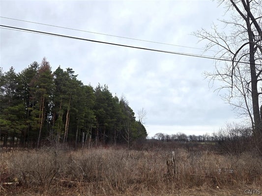 HARDYS RD, GAINESVILLE, NY 14066 - Image a0ad8ee9d1fee2f2a3f8a9d8aed637ec/2675227463