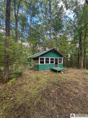 9492 IRWIN ROW, HAMMONDSPORT, NY 14840 - Image a751cbc00d8aeeb8303cbc4e2f9536e5/1925991606