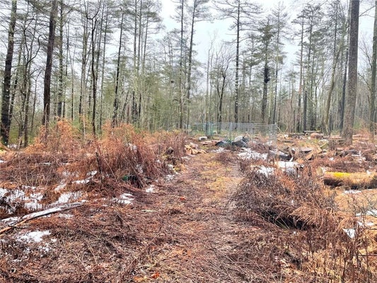 BLUEBERRY HILL RD, ACCORD, NY 12404 - Image b2db7400ad3caee7d0beb702f6d17d02/3133230959