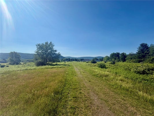MEMORY LN, OTEGO, NY 13825 - Image bd75ec10c8f736f8d1240978e49bb17c/2724545029