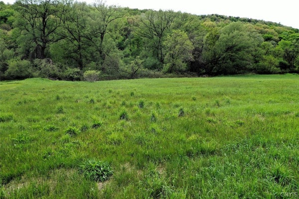 N MAIN ST, HORNELL, NY 14843 - Image c3bfeb30cd9b8249b519fb30aeabfe46/2392966729