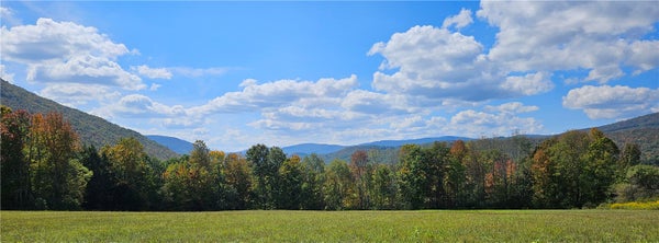 161 N MONTGOMERY HOLLOW RD, ROXBURY, NY 12474 - Image c5b4ddf37bb39e2b15a3bfbced07bd6b/585682050