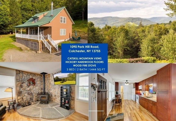 1090 PARK HILL RD, DOWNSVILLE, NY 13755 - Image cbfa7c44bd4069bb18db314c4089baeb/350041178