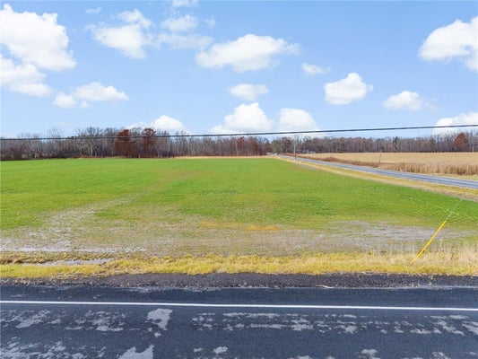 SWAMP COLLEGE RD, TRUMANSBURG, NY 14886 - Image cc8f081b538b766d2bbfc3a71f27fd45/1008134970