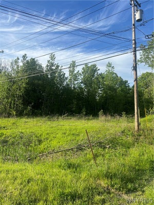 ELLICOTT ROAD, ORCHARD PARK, NY 14127 - Image cee36b197dfa2f4103eddf87ff3d228c/259199928