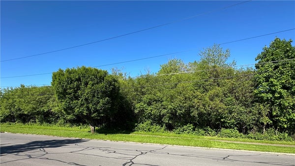 110 GARROW ST, AUBURN, NY 13021 - Image d1228cd00a47cb7f359d96ef9ec80a5c/3744929056