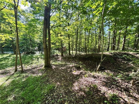 6952 CANADICE HILL RD, SPRINGWATER, NY 14560 - Image d28bbaef7b6b3b41f588deac607f7ffb/4279499457