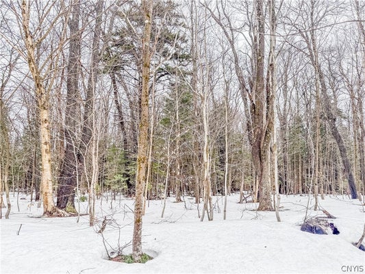 1727 OLIN RD, LOWVILLE, NY 13367 - Image d4c28232cde2c767ee4e4337676e06cd/2938486891