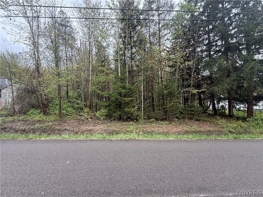 DAWN AVE, ANGOLA, NY 14006 - Image d4cf67318faa00faabb5e14cb32a6849/1817369767