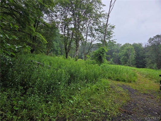 WARNER GULF ROAD, HOLLAND, NY 14080 - Image d69ff07ff0ddd44dc080abf3797a36c7/3331386266