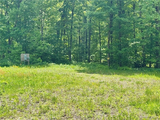 98 WOOLIVER RD, RICHLAND, NY 13144 - Image da3a33dc7252e32f978ef0033ccabb77/3215975317