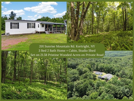 201 SUNRISE MOUNTAIN RD, BLOOMVILLE, NY 13739 - Image da9cdde2438ca2b7913b06ebf3caafa1/2966417808
