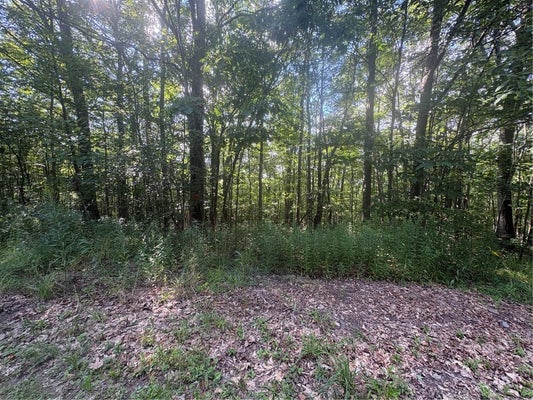 5537 HIGHLANDS DR, BRANCHPORT, NY 14418 - Image dd83322eeceeee3be3a8f0b2e6bdc847/2258100770