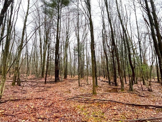 CHERRY ST, OLEAN, NY 14760 - Image ddb2bb8e3b6a309deaf25dd564cb8f8a/3856645108