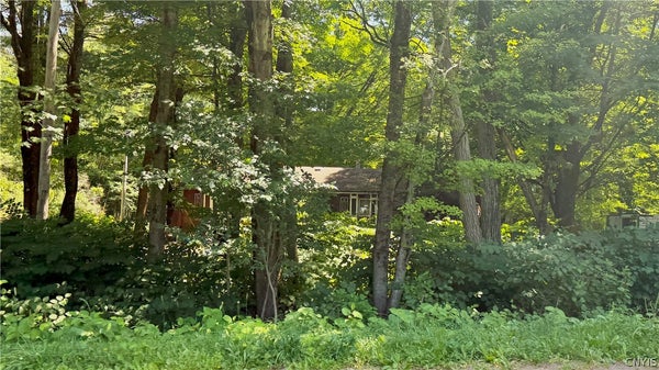 3390 MCCONNELLSVILLE RD, BLOSSVALE, NY 13308 - Image dfd0f38cf0166b5fb094ad48ce83dffc/4022332822