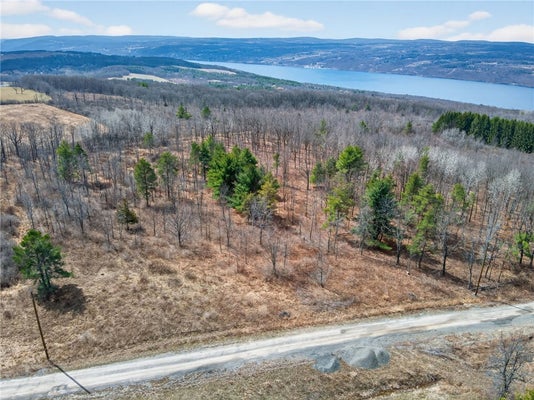 SATTERLY HILL RD, BURDETT, NY 14818 - Image e132f9f2f1d02ebe03e60d2f315441f6/2509109934
