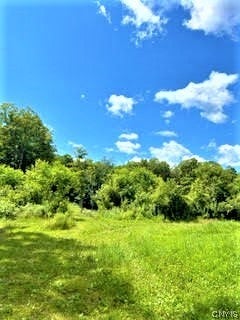 ADDRESS PRIVATE, SAINT JOHNSVILLE, NY 13452 - Image e25896dcb36b69c1952e4cf2530fddb2/1683831553