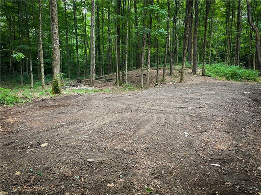 ADDRESS PRIVATE, RICHLAND, NY 13144 - Image e31f2e2bd610f4c7dfb45173c4e1e5eb/607313975