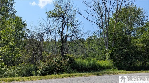 BEECH TREE RD, WEST VALLEY, NY 14171 - Image e7fe92a20dbbc49fd7d53290e8e0747a/3136479854