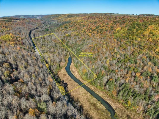 5386 COUNTY ROUTE 11, BATH, NY 14810 - Image ed86b188cb7b59ad79f8e4950b79c8a0/2109078346