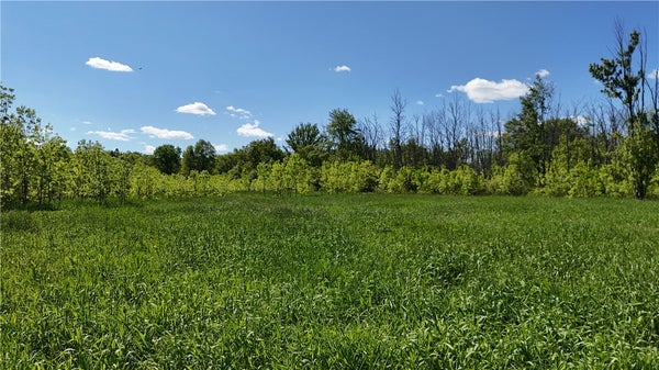 DREDGE DITCH RD, CHERRY CREEK, NY 14723 - Image edb328bb087873d4bbd681f31ee63748/2745274337