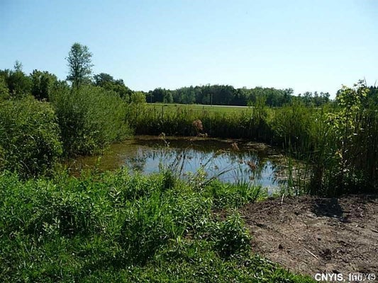 0 ROUTE 13, CANASTOTA, NY 13032 - Image f079cd75d0d7f4812ab7ff8964fbbe65/913391186
