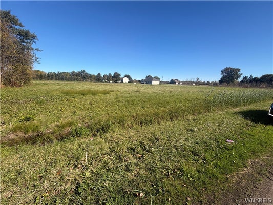 1115 RAPIDS RD, LOCKPORT, NY 14094 - Image f5cefac8eb771ed5baf73ace7cb41bce/3876047056