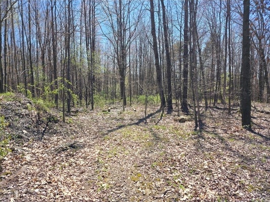 1ST, LAUREL, NY 11948 - Image f7491f87b1687f714b82be5b80bc55ff/3919308547