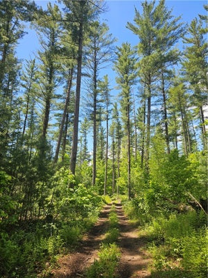 ADAMS HILL RD, CROGHAN, NY 13327 - Image f7f88ccaa01e63de5bcfc5be40eab897/1845162964