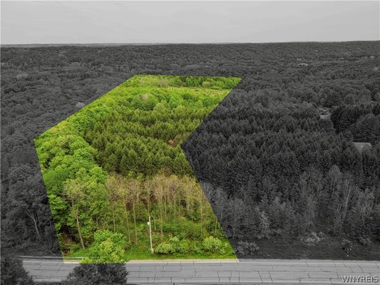 VERMONT HILL RD, SOUTH WALES, NY 14139 - Image fa28d2eb8def110802aa4f8d7ec29291/2730318056