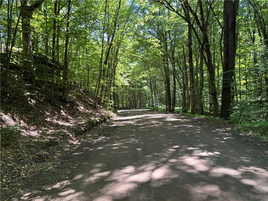 MCKEE HILL RD, EAST MEREDITH, NY 13757 - Image ff790f892aba980ebd98e2fcbf375fe8/3740631027