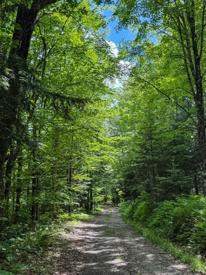 273 GUYETTE RD, LOWELL, VT 05847 - Image 0ae4138b0e21bb2daf5f3bfc6aa312bd/3289633501